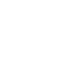 icono de resultados